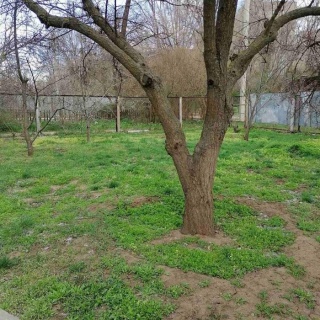 Объявление 4-к квартира, 190.15м2, 1/2 эт